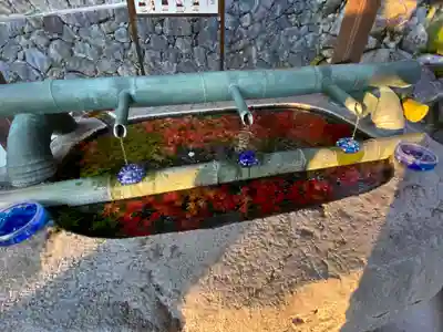 岡寺（龍蓋寺）の手水舎