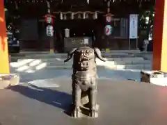 千葉神社の狛犬