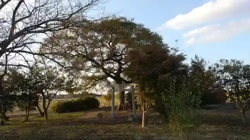 相野谷八幡神社(茨城県)