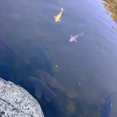 三柱神社(福岡県)
