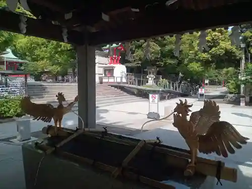 富岡八幡宮の手水舎