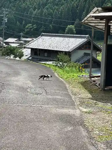 洞雲寺の動物