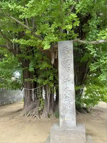 葛飾八幡宮(千葉県)