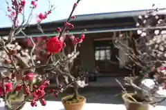 菅原天満宮（菅原神社）(奈良県)