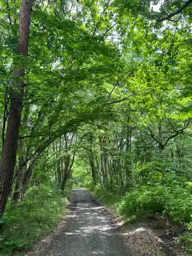 宝登山神社奥宮(埼玉県)