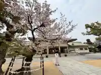 難波大社 生國魂神社(大阪府)