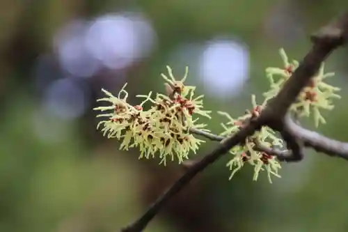 豊景神社の自然