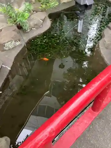 羽衣町厳島神社（関内厳島神社・横浜弁天）(神奈川県)