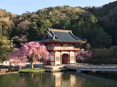 勝尾寺の山門・神門