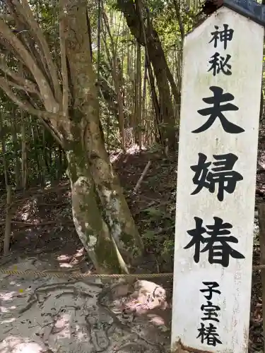 八重垣神社の{uncategorized: "未分類", other: "その他", undefined: "問題あり", building: "その他建物", grave: "お墓", sacred_gate: "鳥居", guardian: "狛犬", statue: "像", buddha: "仏像", history: "歴史", nature: "自然", garden: "庭園", animal: "動物", pagoda: "塔", temizu: "手水舎", mountain_gate: "山門・神門", sanctuary: "本殿・本堂", subordinate: "末社・摂社", art: "芸術", scenery: "景色", jizo: "地蔵", ema: "絵馬", goshuin: "御朱印", omikuji: "おみくじ", items: "授与品その他", amulet: "お守り", goshuincho: "御朱印帳", eats: "食事", festival: "お祭り", votive_dance: "神楽", shichigosan: "七五三参", wedding: "結婚式", experience: "体験その他", initially: "初詣", around: "周辺", anti_infection: "感染症対策"}