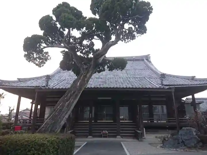 荘厳寺の本殿・本堂