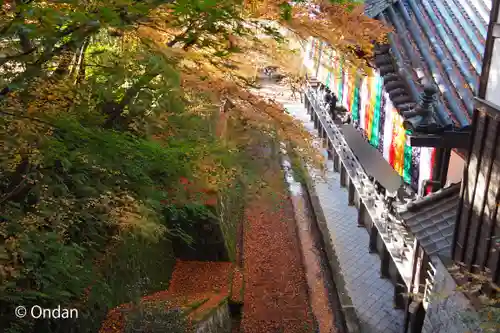 禅林寺（永観堂）(京都府)