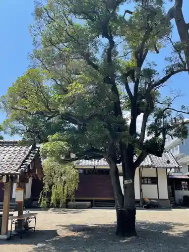 栗原氷川神社の自然