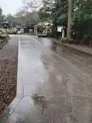 櫻木神社の建物その他