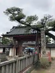 葛井寺(大阪府)