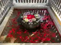 長浜八幡宮の手水舎