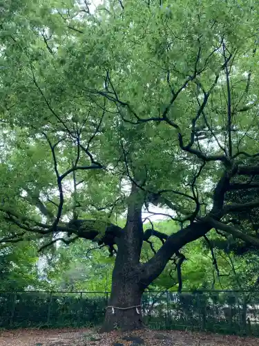 米之宮浅間神社(静岡県)