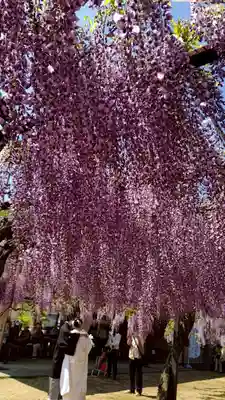 和氣神社（和気神社）(岡山県)