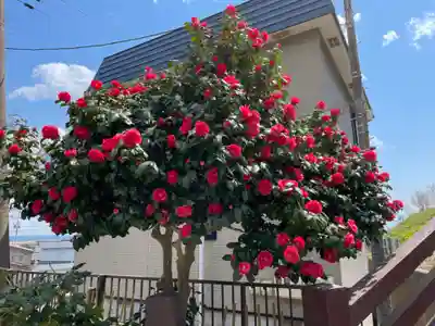 福島大神宮の自然