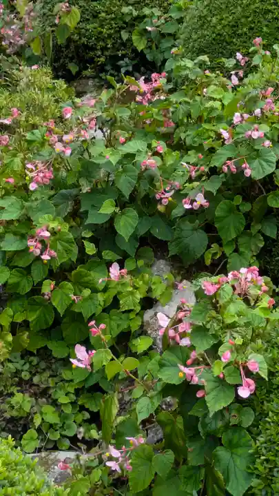 寂光院(京都府)