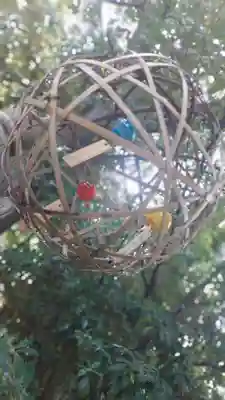 川越氷川神社のその他建物