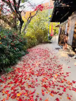 石内のお大師さん　金剛院(広島県)