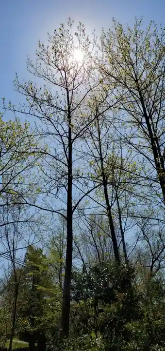 櫛田神社の自然