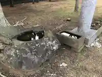 目三稲荷大明神の手水舎