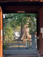 津江神社(福岡県)