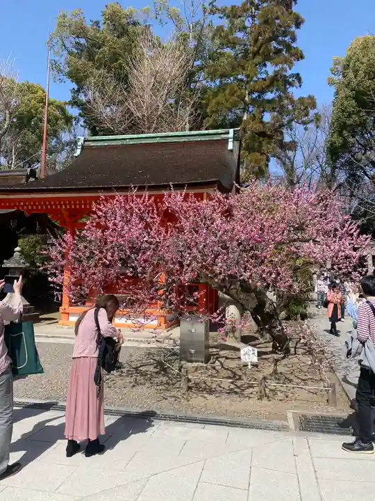 北野天満宮(京都府)