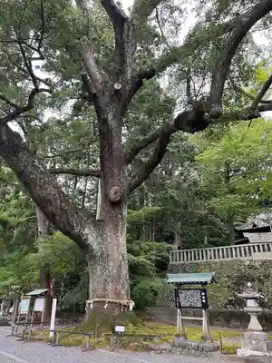 事任八幡宮(静岡県)