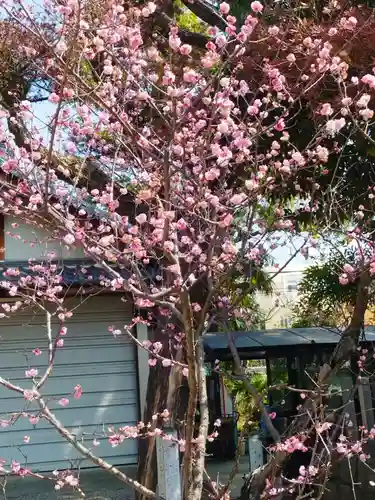 柴籬神社(大阪府)