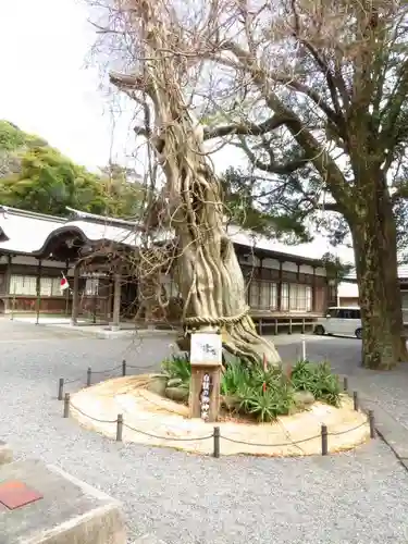 伊古奈比咩命神社の建物その他