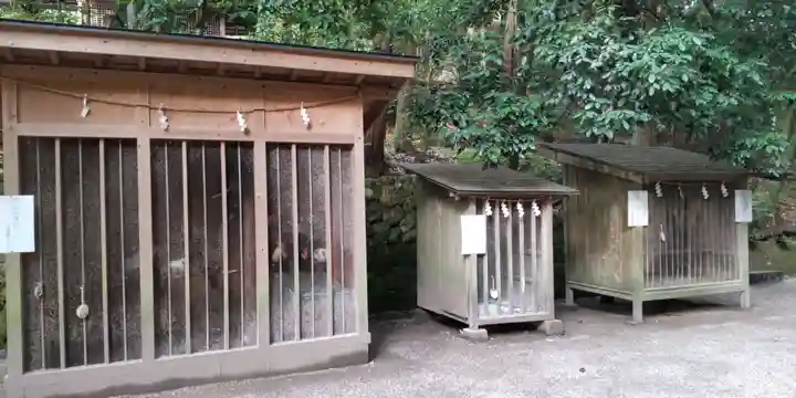 石上神宮(奈良県)