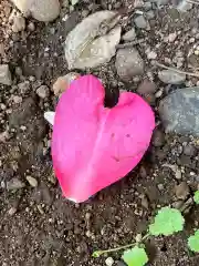 畑子安神社の自然