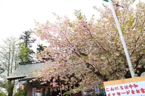 二柱神社の自然