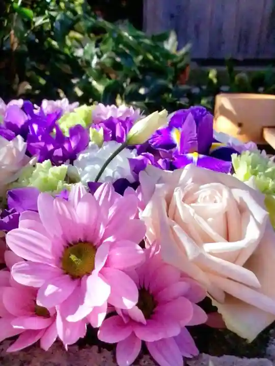 本郷氷川神社(東京都)