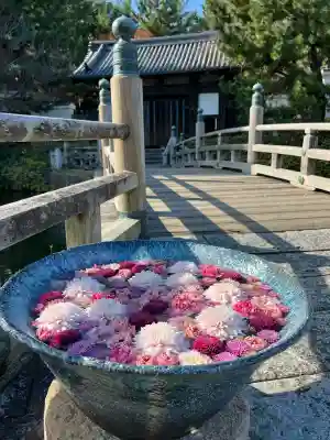 忍　諏訪神社・東照宮　(埼玉県)