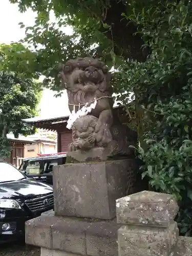 鳩ヶ谷氷川神社の狛犬