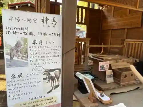 平塚八幡宮(神奈川県)