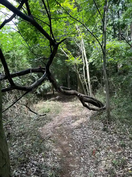 賀茂別雷神社(栃木県)