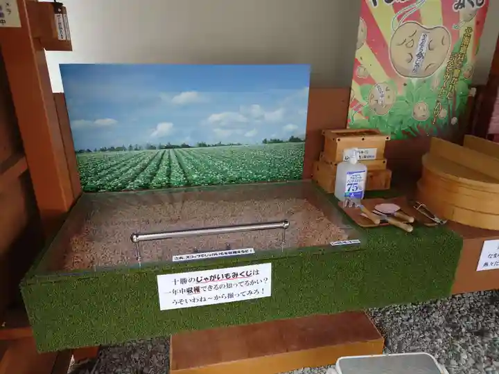 浦幌神社・乳神神社のおみくじ