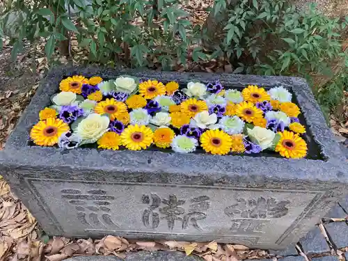 行田八幡神社(埼玉県)