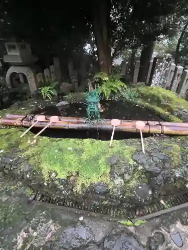 松尾寺(京都府)