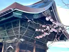 善光寺(長野県)