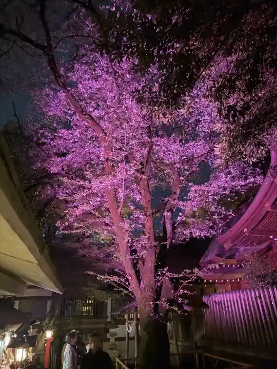 金刀比羅神社の{uncategorized: "未分類", other: "その他", undefined: "問題あり", building: "その他建物", grave: "お墓", sacred_gate: "鳥居", guardian: "狛犬", statue: "像", buddha: "仏像", history: "歴史", nature: "自然", garden: "庭園", animal: "動物", pagoda: "塔", temizu: "手水舎", mountain_gate: "山門・神門", sanctuary: "本殿・本堂", subordinate: "末社・摂社", art: "芸術", scenery: "景色", jizo: "地蔵", ema: "絵馬", goshuin: "御朱印", omikuji: "おみくじ", items: "授与品その他", amulet: "お守り", goshuincho: "御朱印帳", eats: "食事", festival: "お祭り", votive_dance: "神楽", shichigosan: "七五三参", wedding: "結婚式", experience: "体験その他", initially: "初詣", around: "周辺", anti_infection: "感染症対策"}