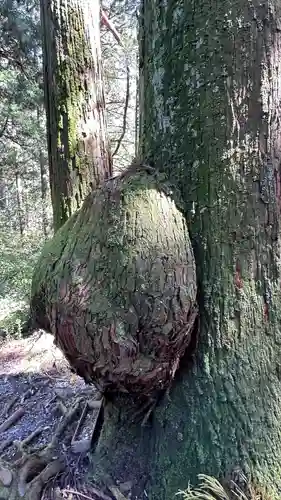 花園神社(茨城県)