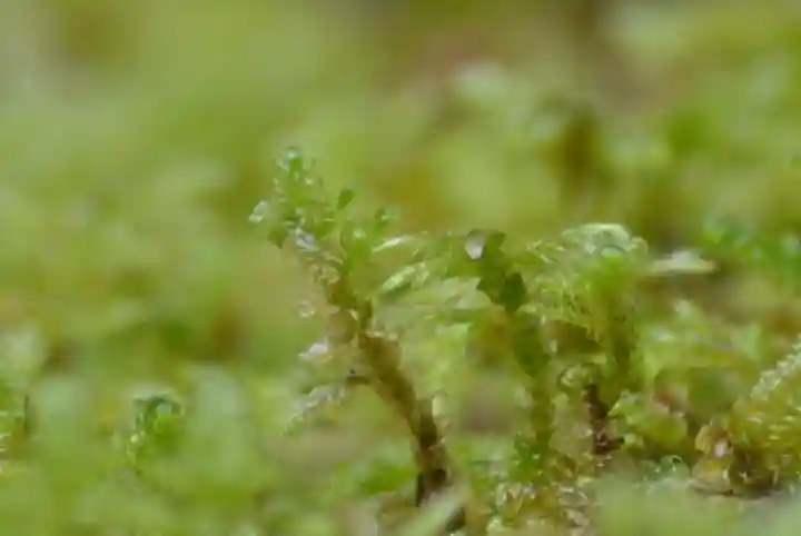 永平寺(福井県)