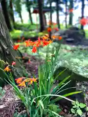 山家神社の自然