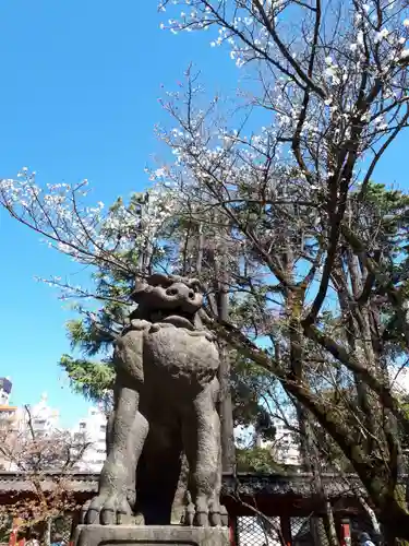 根津神社の狛犬